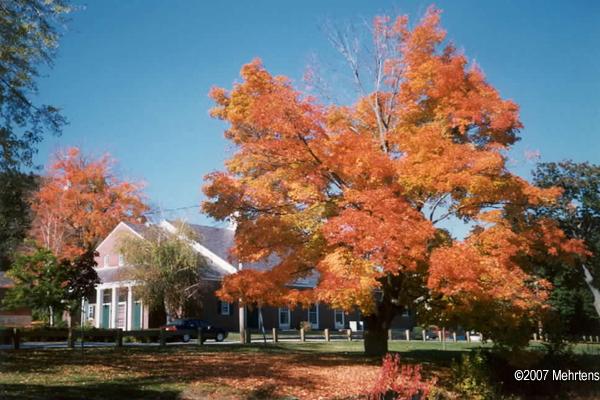 Harrisville - Assembly Theatre with Autumn Trees